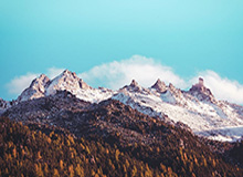 jiuyou-九游体育平台:与你的热情并肩前行的全面体育生态